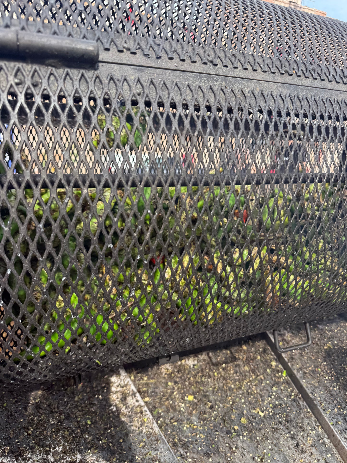 Premium Packaged and Diced Musso Mix Full Bushel LIMITED